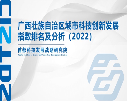 插老妇女【成果发布】广西壮族自治区城市科技创新发展指数排名及分析（2022）